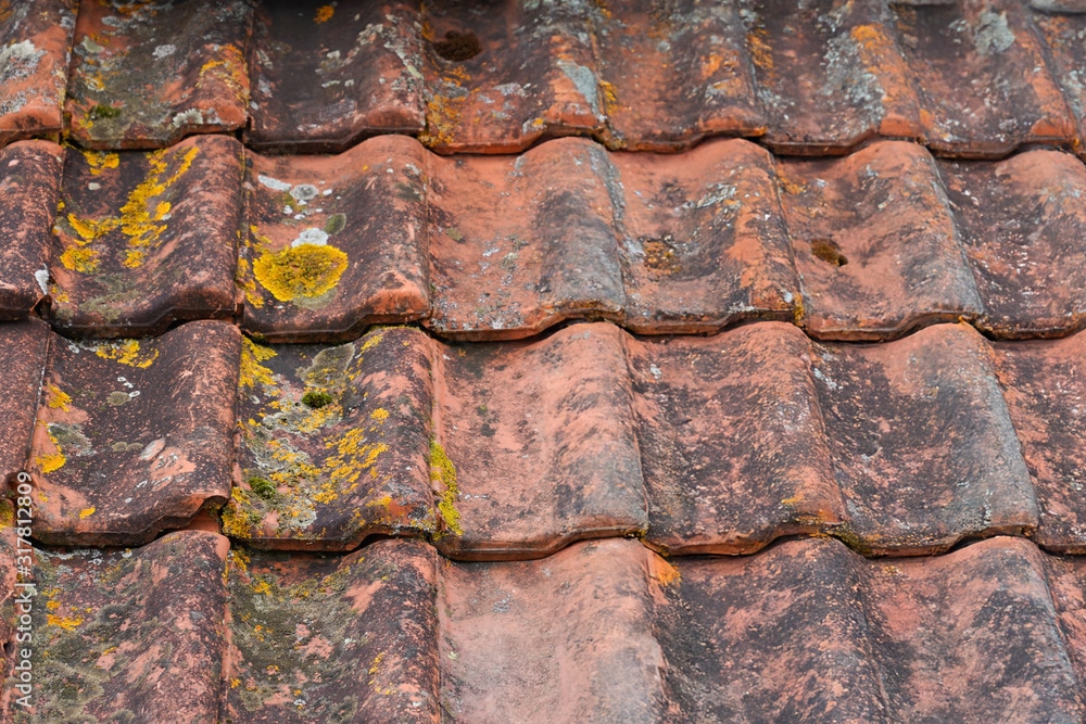AdobeStock_317812809_Preview2