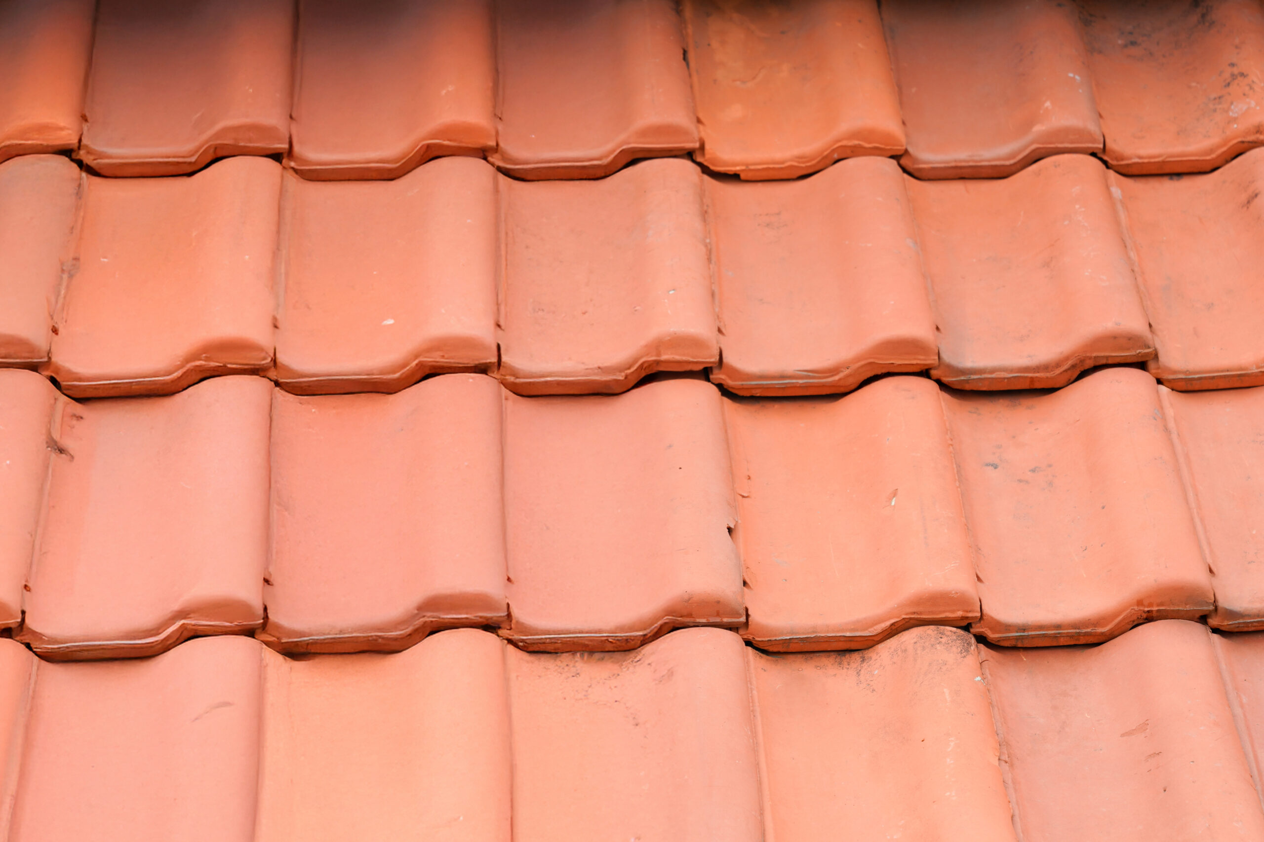 Comparison roof top before and after cleaning moss lichen high pressure water cleaner tile
