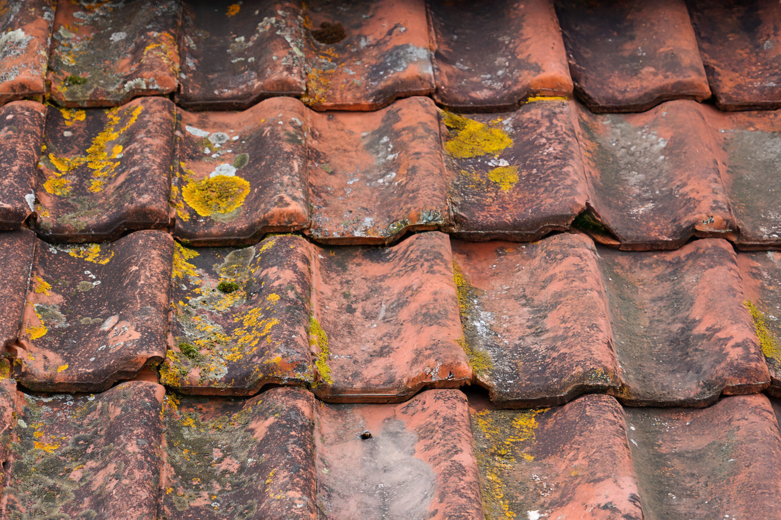 Comparison roof top before and after cleaning moss lichen high pressure water cleaner tile